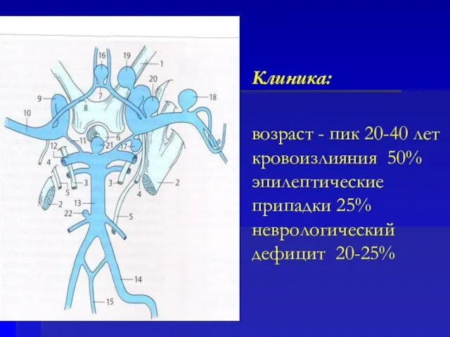 Клиника: возраст - пик 20-40 лет кровоизлияния 50% эпилептические припадки 25% неврологический дефицит 20-25%