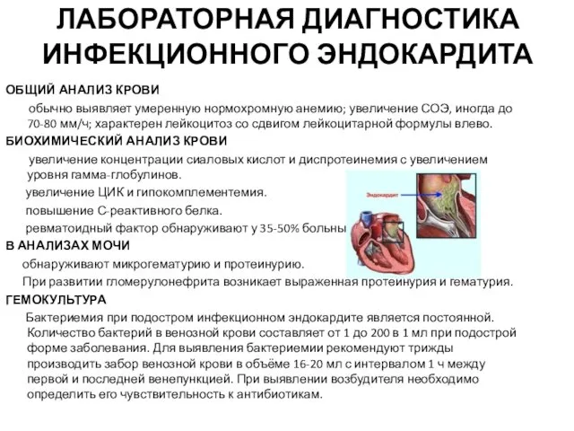 ЛАБОРАТОРНАЯ ДИАГНОСТИКА ИНФЕКЦИОННОГО ЭНДОКАРДИТА ОБЩИЙ АНАЛИЗ КРОВИ обычно выявляет умеренную