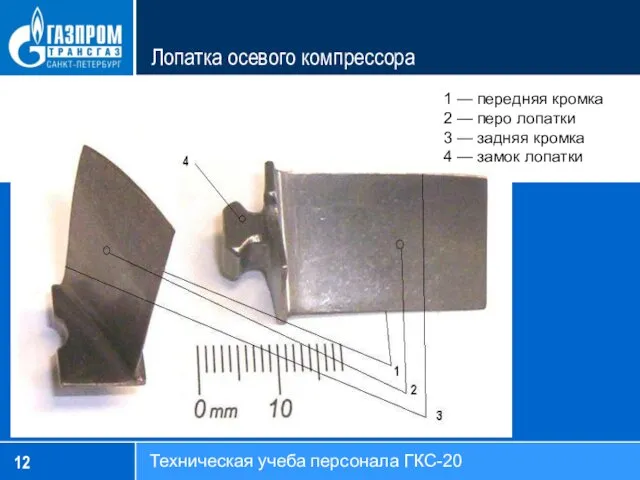 1 — передняя кромка 2 — перо лопатки 3 —