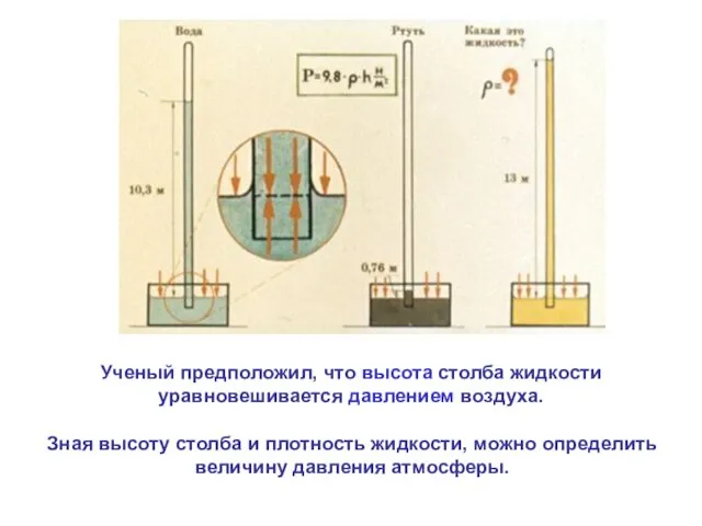 Ученый предположил, что высота столба жидкости уравновешивается давлением воздуха. Зная