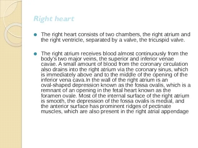 Right heart The right heart consists of two chambers, the