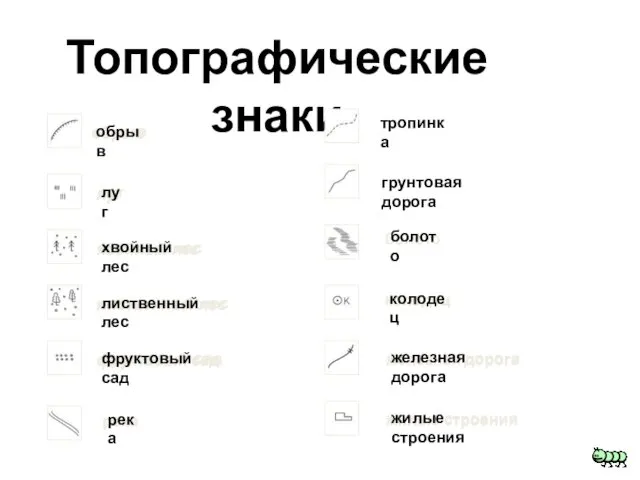 Топографические знаки луг обрыв хвойный лес лиственный лес фруктовый сад