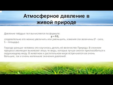 Атмосферное давление в живой природе Давление твёрдых тел вычисляется по