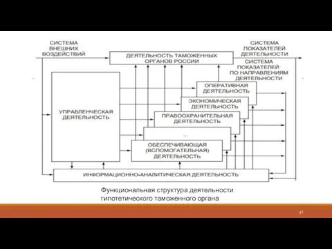 Функциональная структура деятельности гипотетического таможенного органа