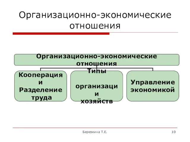 Организационно-экономические отношения Березкина Т.Е.