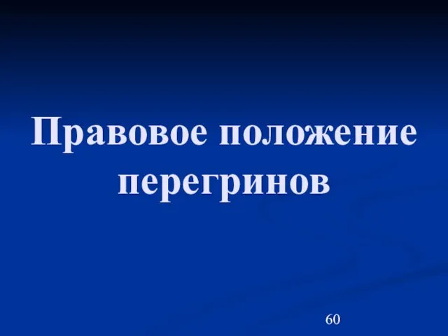 Правовое положение перегринов