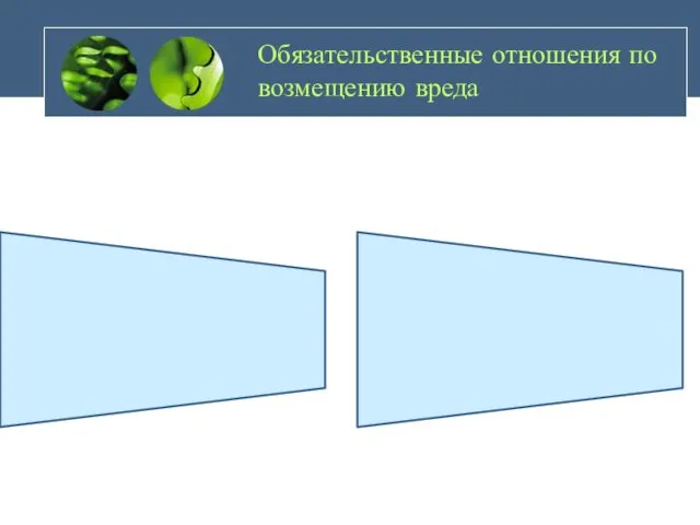 Обязательственные отношения по возмещению вреда Причинитель (тот кто нанес вред)