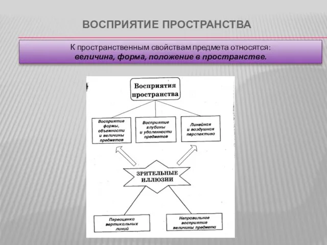 ВОСПРИЯТИЕ ПРОСТРАНСТВА К пространственным свойствам предмета относятся: величина, форма, положение в пространстве.