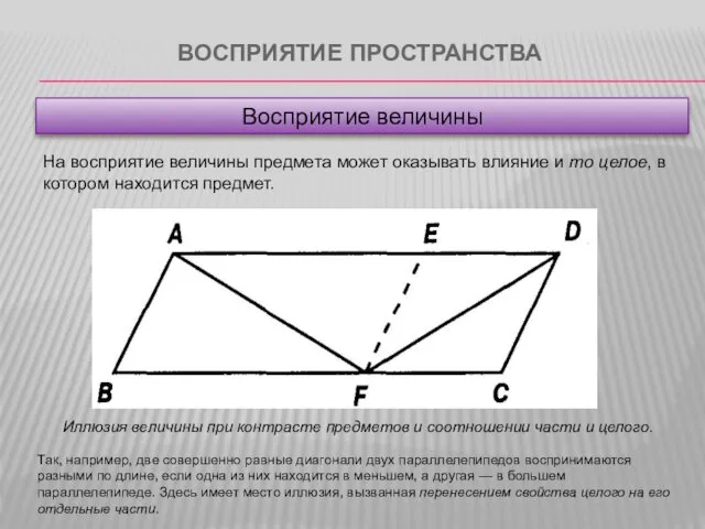 ВОСПРИЯТИЕ ПРОСТРАНСТВА Восприятие величины Иллюзия величины при контрасте предметов и