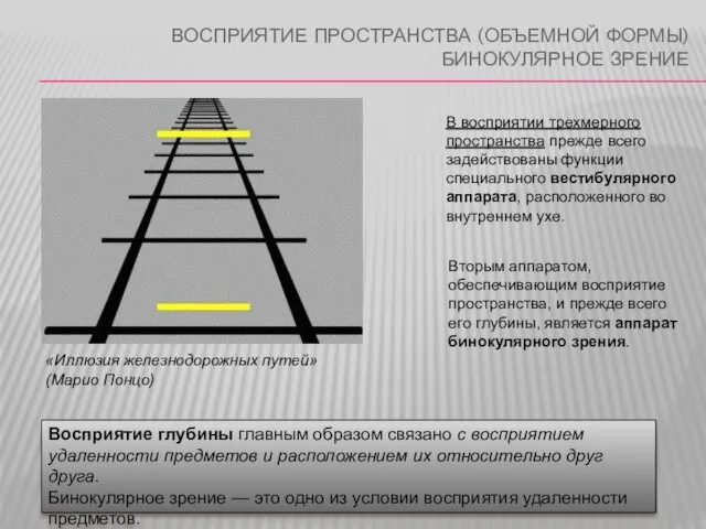 ВОСПРИЯТИЕ ПРОСТРАНСТВА (ОБЪЕМНОЙ ФОРМЫ) БИНОКУЛЯРНОЕ ЗРЕНИЕ В восприятии трехмерного пространства