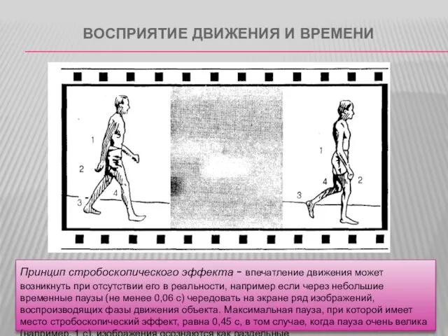 ВОСПРИЯТИЕ ДВИЖЕНИЯ И ВРЕМЕНИ Принцип стробоскопического эффекта - впечатление движения