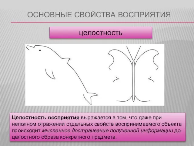 ОСНОВНЫЕ СВОЙСТВА ВОСПРИЯТИЯ целостность Целостность восприятия выражается в том, что