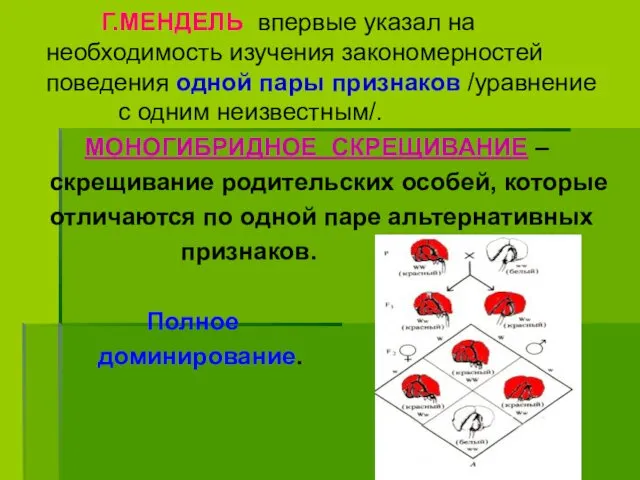 Г.МЕНДЕЛЬ впервые указал на необходимость изучения закономерностей поведения одной пары