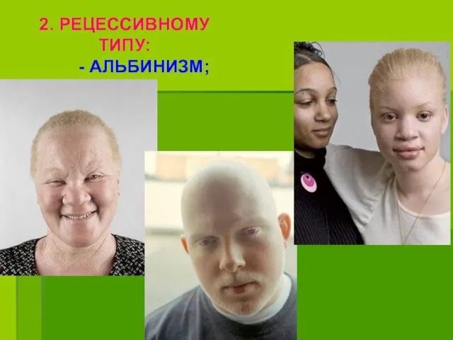 2. РЕЦЕССИВНОМУ ТИПУ: - АЛЬБИНИЗМ;