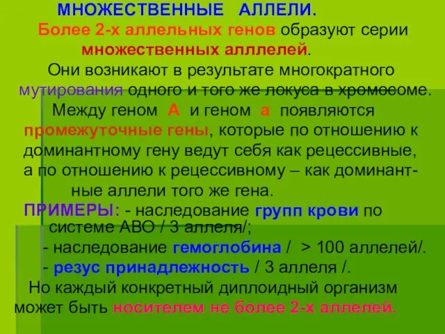 МНОЖЕСТВЕННЫЕ АЛЛЕЛИ. Более 2-х аллельных генов образуют серии множественных алллелей.