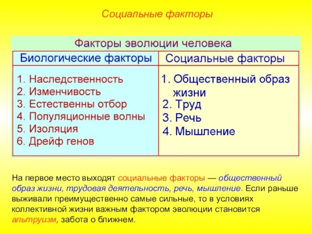 На первое место выходят социальные факторы — общественный образ жизни,