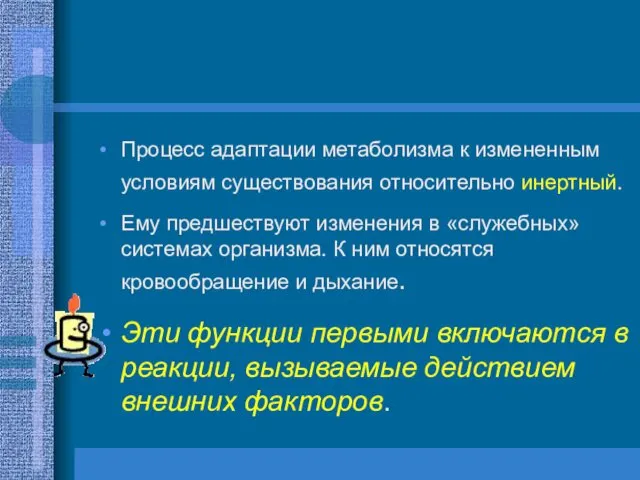 Процесс адаптации метаболизма к измененным условиям существования относительно инертный. Ему