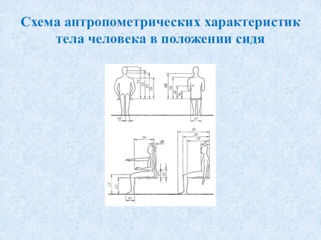 Схема антропометрических характеристик тела человека в положении сидя