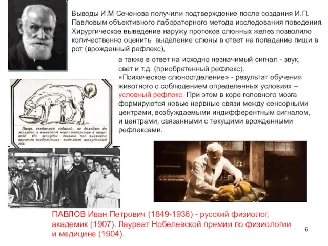 ПАВЛОВ Иван Петрович (1849-1936) - русский физиолог, академик (1907). Лауреат