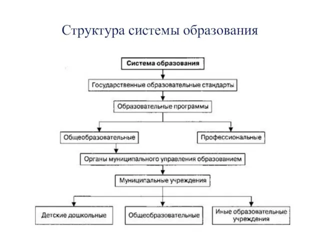 Структура системы образования