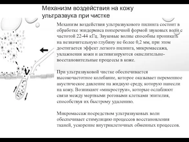 Механизм воздействия на кожу ультразвука при чистке Механизм воздействия ультразвукового