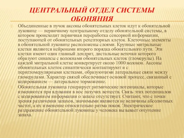 ЦЕНТРАЛЬНЫЙ ОТДЕЛ СИСТЕМЫ ОБОНЯНИЯ Объединенные в пучок аксоны обонятельных клеток