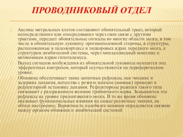 ПРОВОДНИКОВЫЙ ОТДЕЛ Аксоны митральных клеток составляют обонятельный тракт, который непосредственно