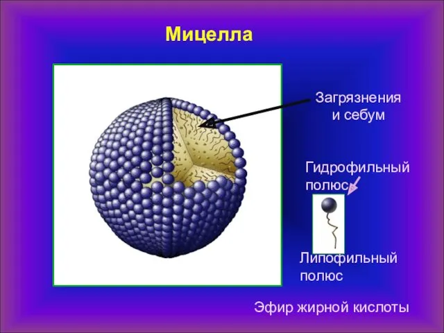 Мицелла Эфир жирной кислоты