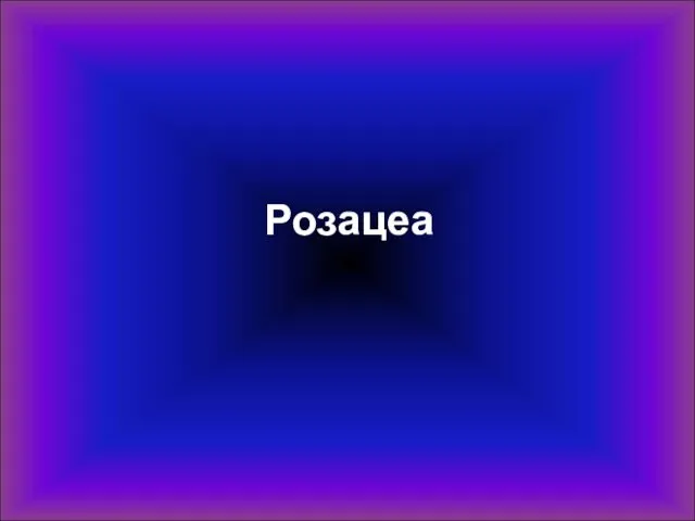 Розацеа