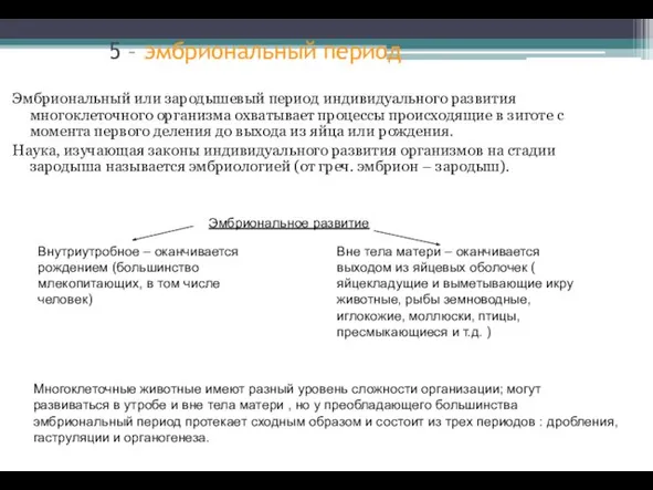 5 – эмбриональный период Эмбриональный или зародышевый период индивидуального развития многоклеточного организма охватывает