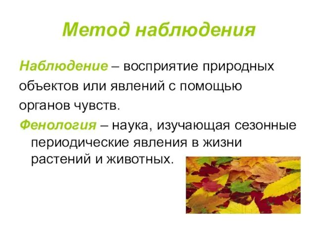 Метод наблюдения Наблюдение – восприятие природных объектов или явлений с