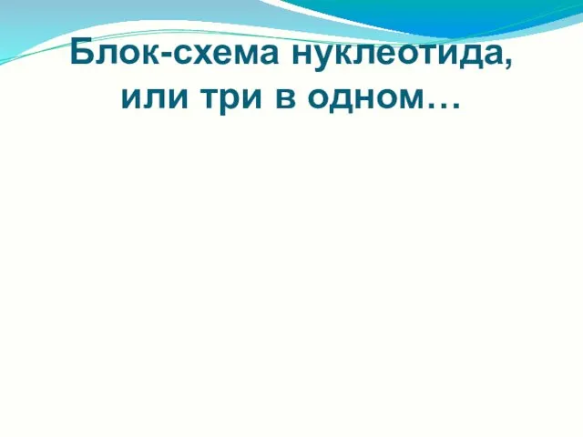 Блок-схема нуклеотида, или три в одном…