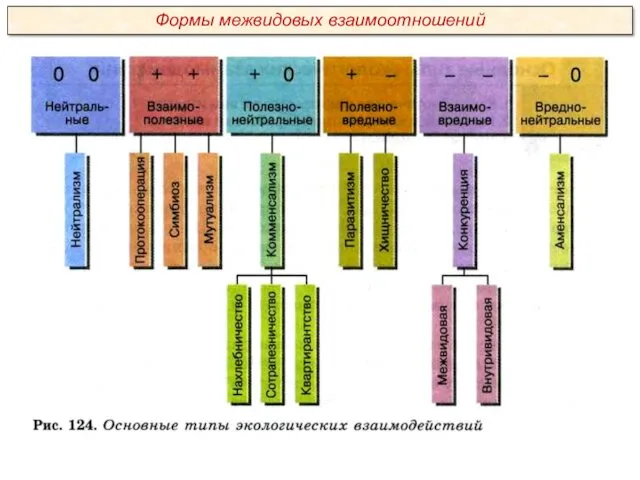 Формы межвидовых взаимоотношений