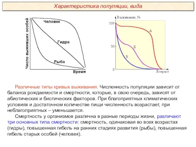 Различные типы кривых выживания. Численность популяции зависит от баланса рождаемости