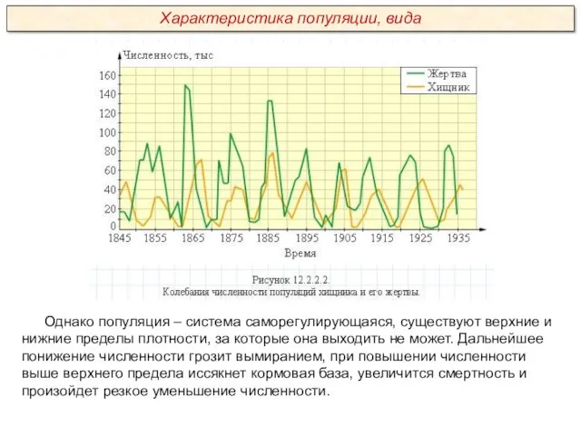 Однако популяция – система саморегулирующаяся, существуют верхние и нижние пределы