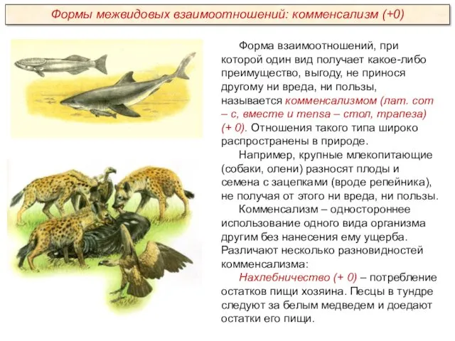 Форма взаимоотношений, при которой один вид получает какое-либо преимущество, выгоду,