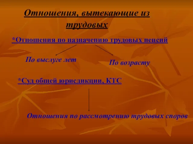 Отношения, вытекающие из трудовых *Отношения по назначению трудовых пенсий По