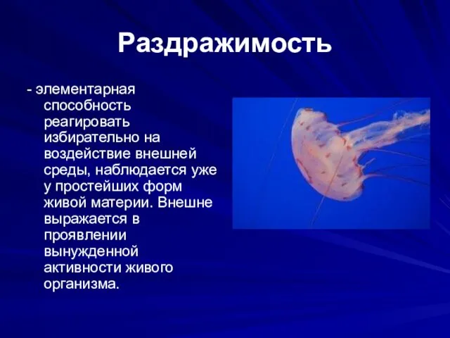 Раздражимость - элементарная способность реагировать избирательно на воздействие внешней среды,