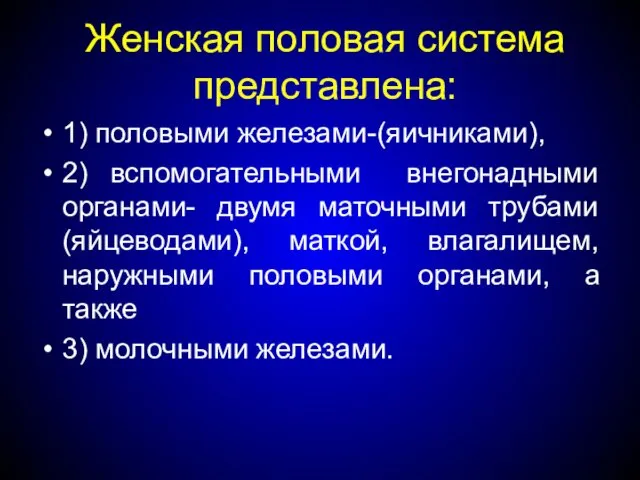 Женская половая система представлена: 1) половыми железами-(яичниками), 2) вспомогательными внегонадными