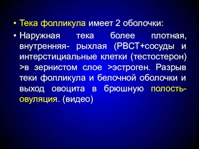 Тека фолликула имеет 2 оболочки: Наружная тека более плотная, внутренняя-