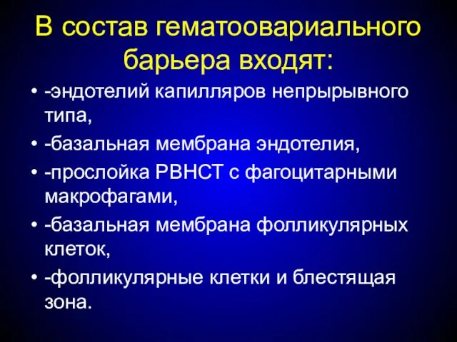 В состав гематоовариального барьера входят: -эндотелий капилляров непрырывного типа, -базальная