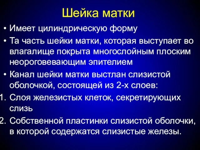 Шейка матки Имеет цилиндрическую форму Та часть шейки матки, которая