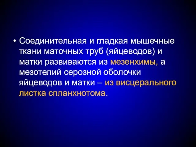 Соединительная и гладкая мышечные ткани маточных труб (яйцеводов) и матки