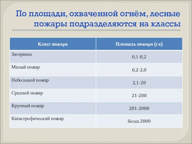 По площади, охваченной огнём, лесные пожары подразделяются на классы