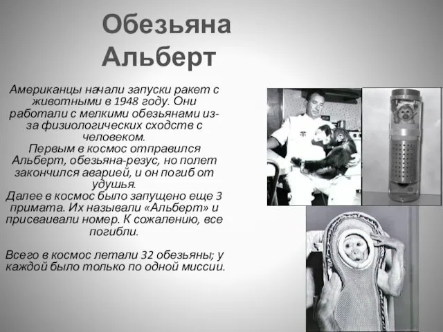 Американцы начали запуски ракет с животными в 1948 году. Они