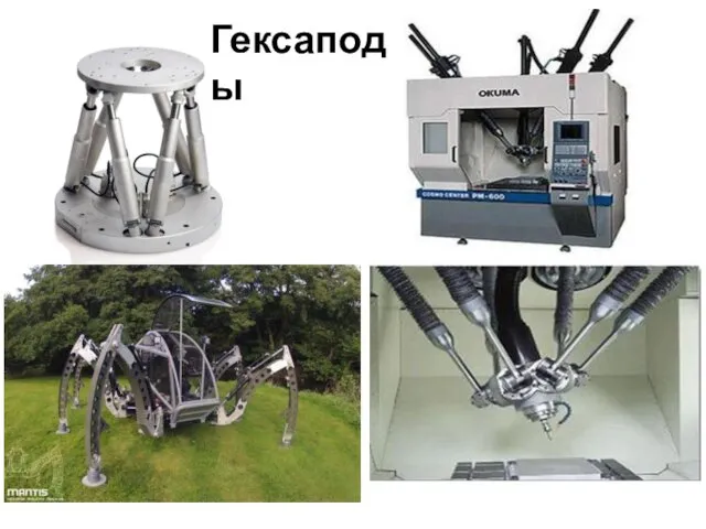 Гексаподы