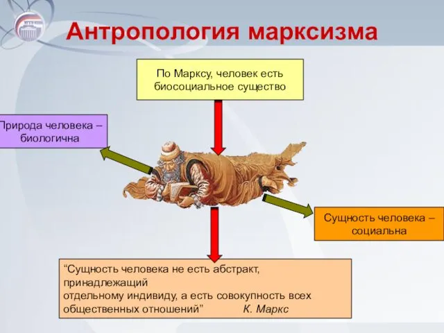 Антропология марксизма Природа человека – биологична По Марксу, человек есть