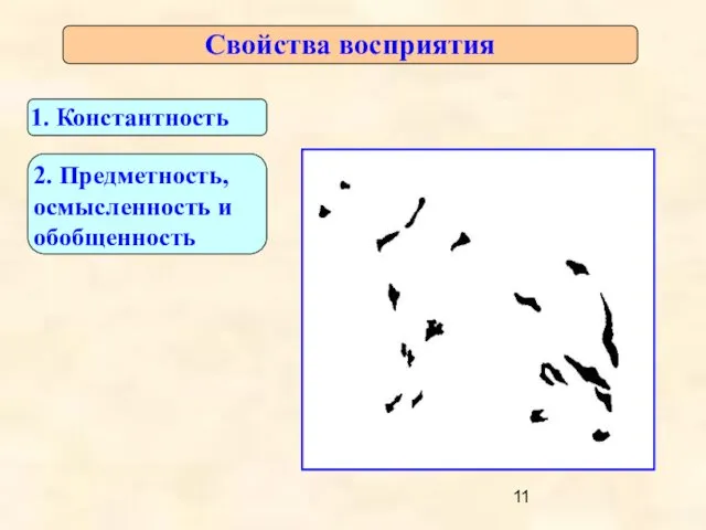 Свойства восприятия 1. Константность 2. Предметность, осмысленность и обобщенность