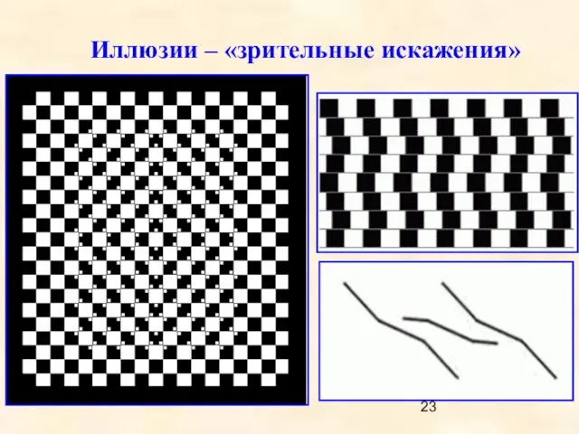 Иллюзии – «зрительные искажения»