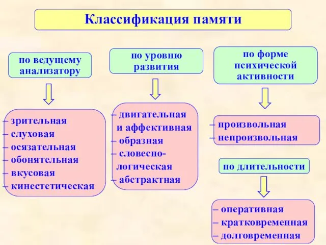 Классификация памяти по ведущему анализатору по уровню развития по форме